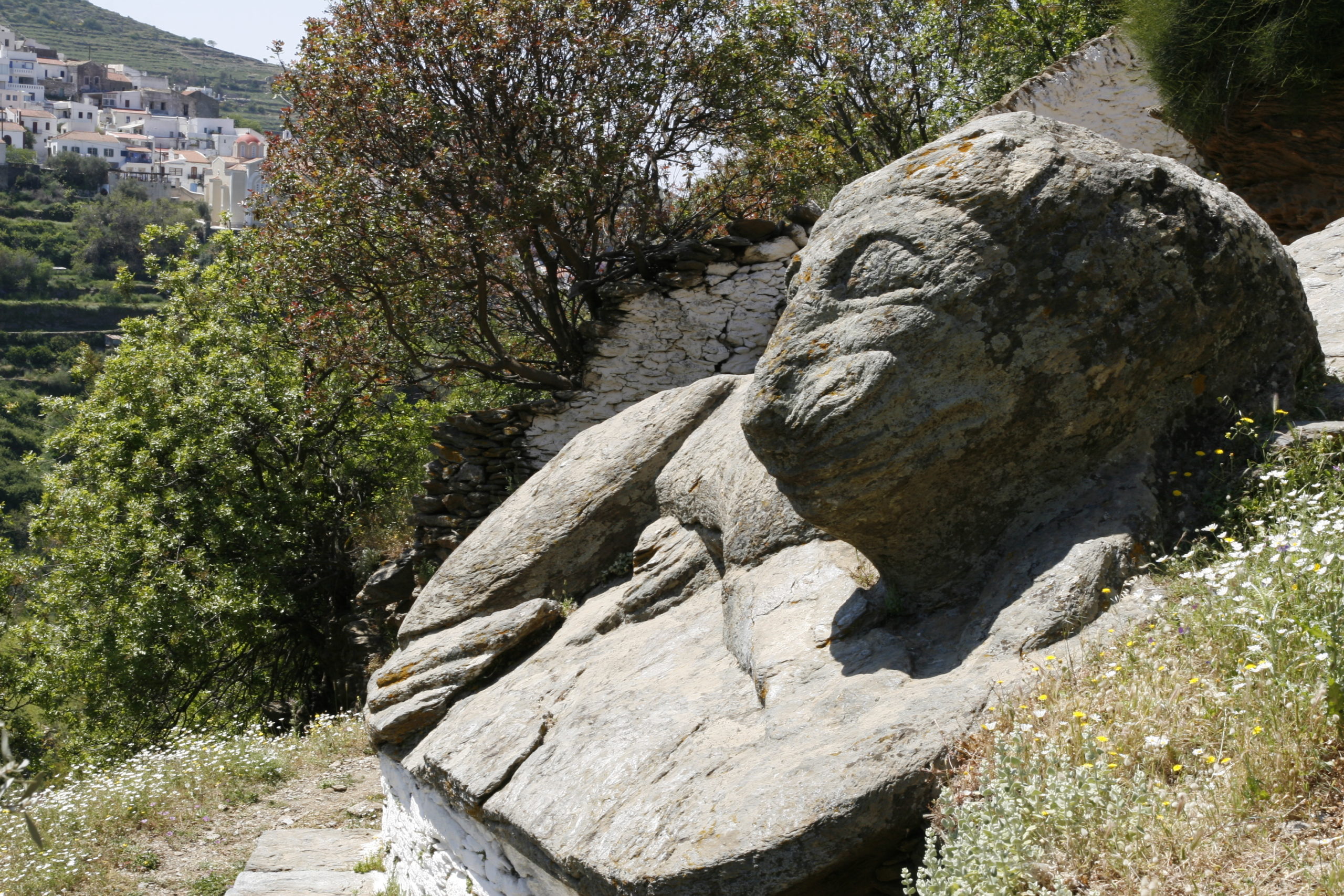 lion kea