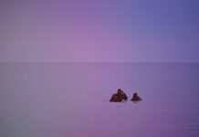 Deux jours de nettoyage des fonds marins de Kéa. Deux jours de nettoyage des fonds marins de Kéa