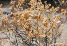 Pourquoi visiter l’île de Kéa et la Grèce en hiver ? visiter l’île de Kéa et la Grèce en hiver